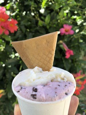 THE BEST 10 Gelato in FREMONT, CA 